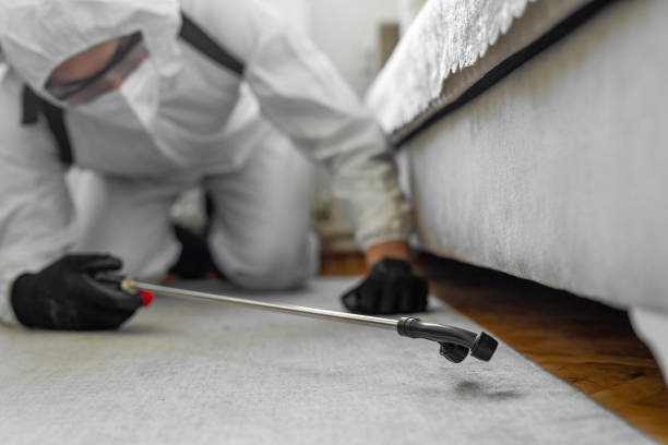 Professional Cockroach Control technician working in Rich Hill, MO