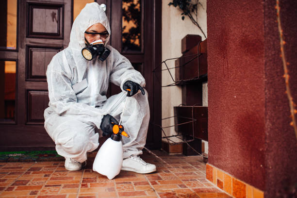 Reliable Cockroach Control contractor in Rich Hill, MO by Nex Pest Control