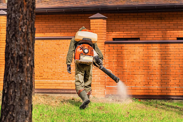 Top rated local Cockroach Control specialists in Rich Hill, MO